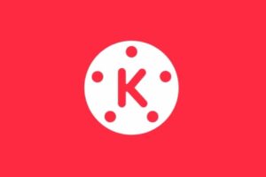 Kinemaster Video Shake Effect